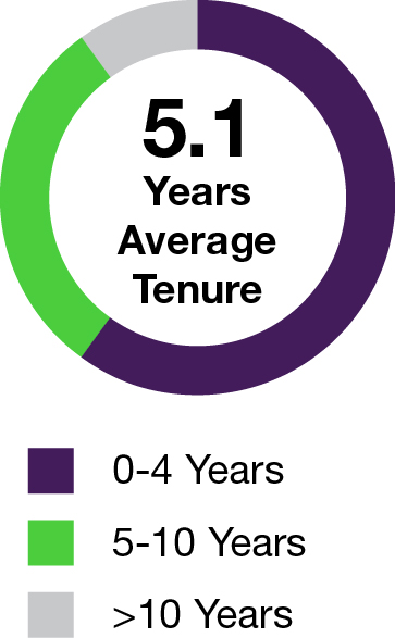 03 PRO013418_pie_Qualifications and Attributes_tenure.jpg
