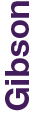 02 PRO013418_gfx_Gibson.jpg