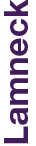 02 PRO013418_gfx_lamneck.jpg