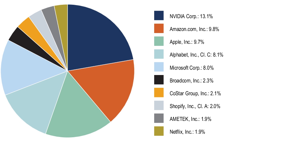 Graphical Representation - Top N Holdings Chart