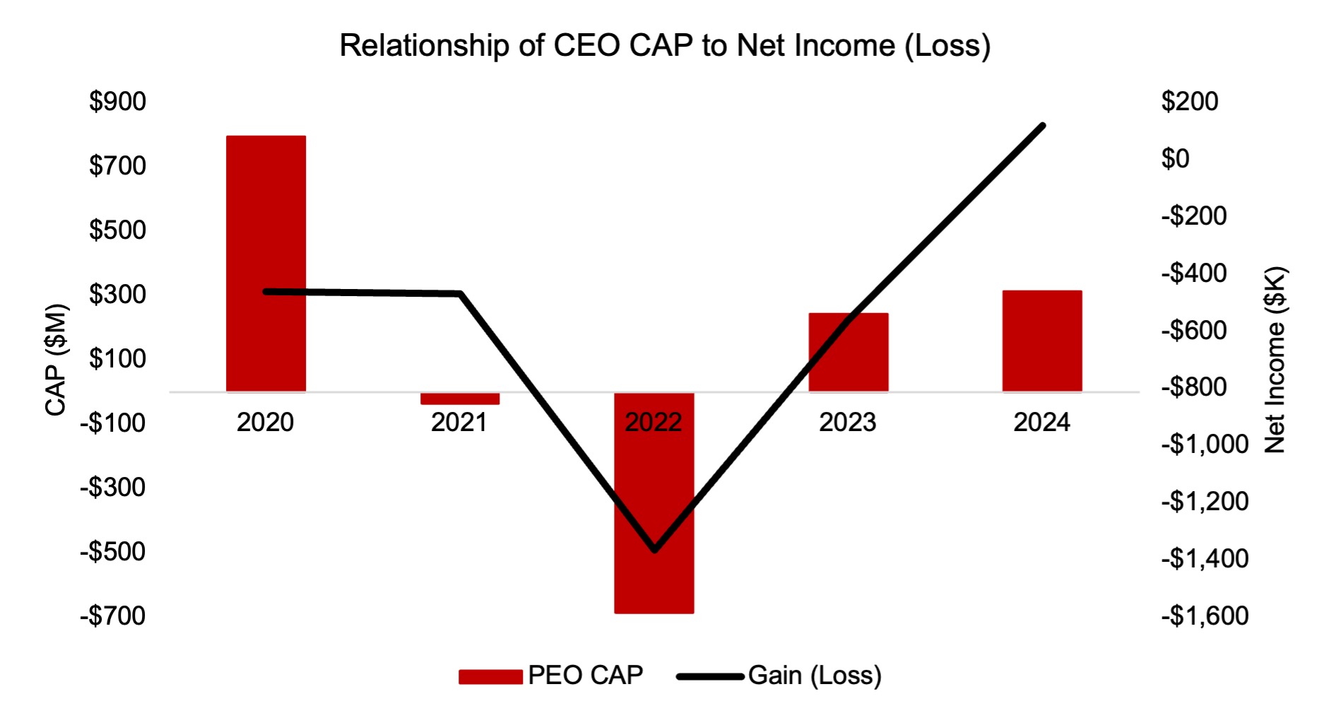 CEO CAP - NI.jpg
