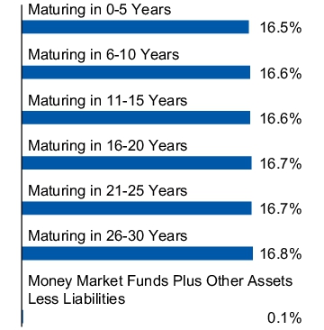 Graphical Representation - Allocation 1 Chart