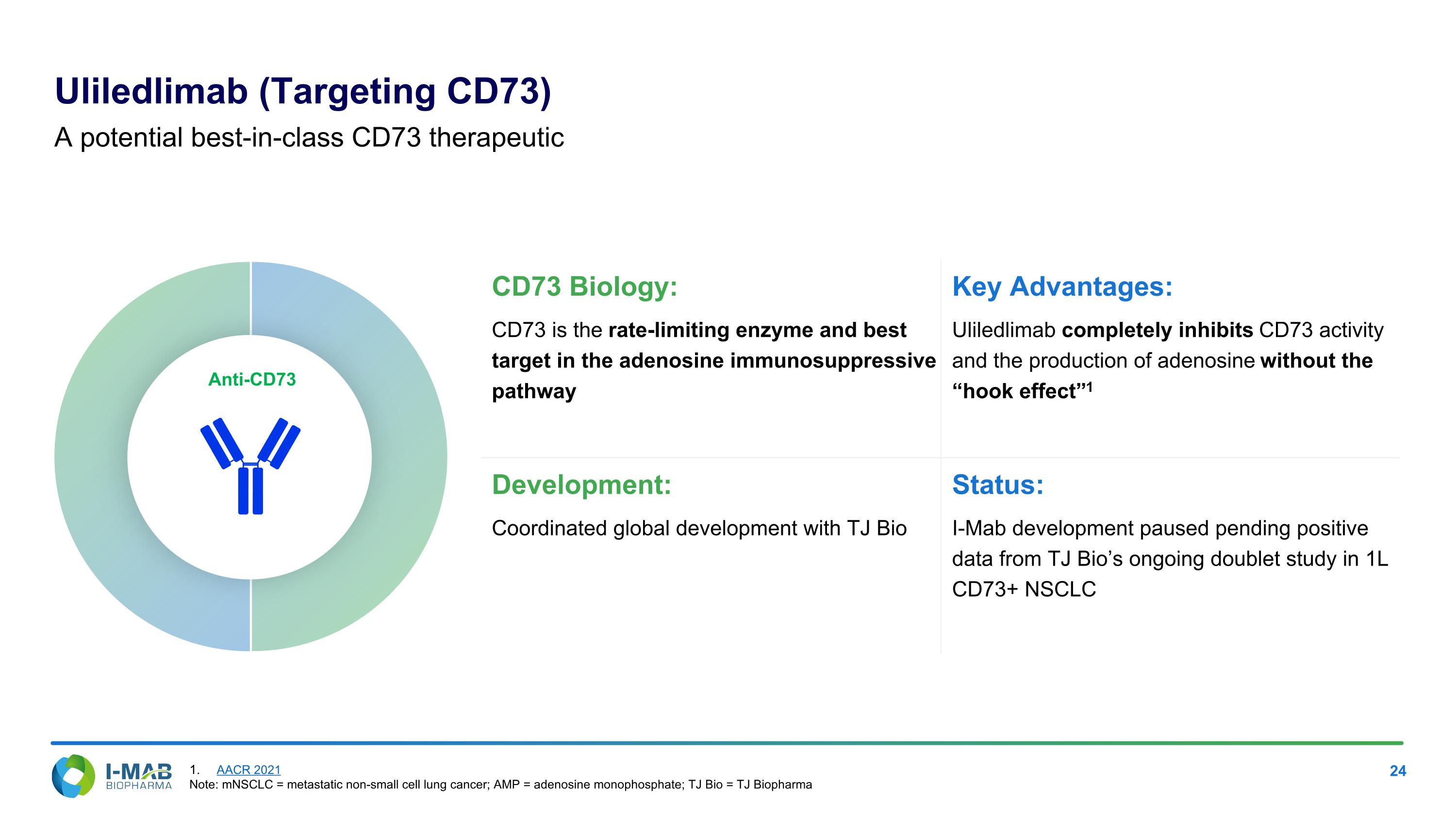 Slide 24