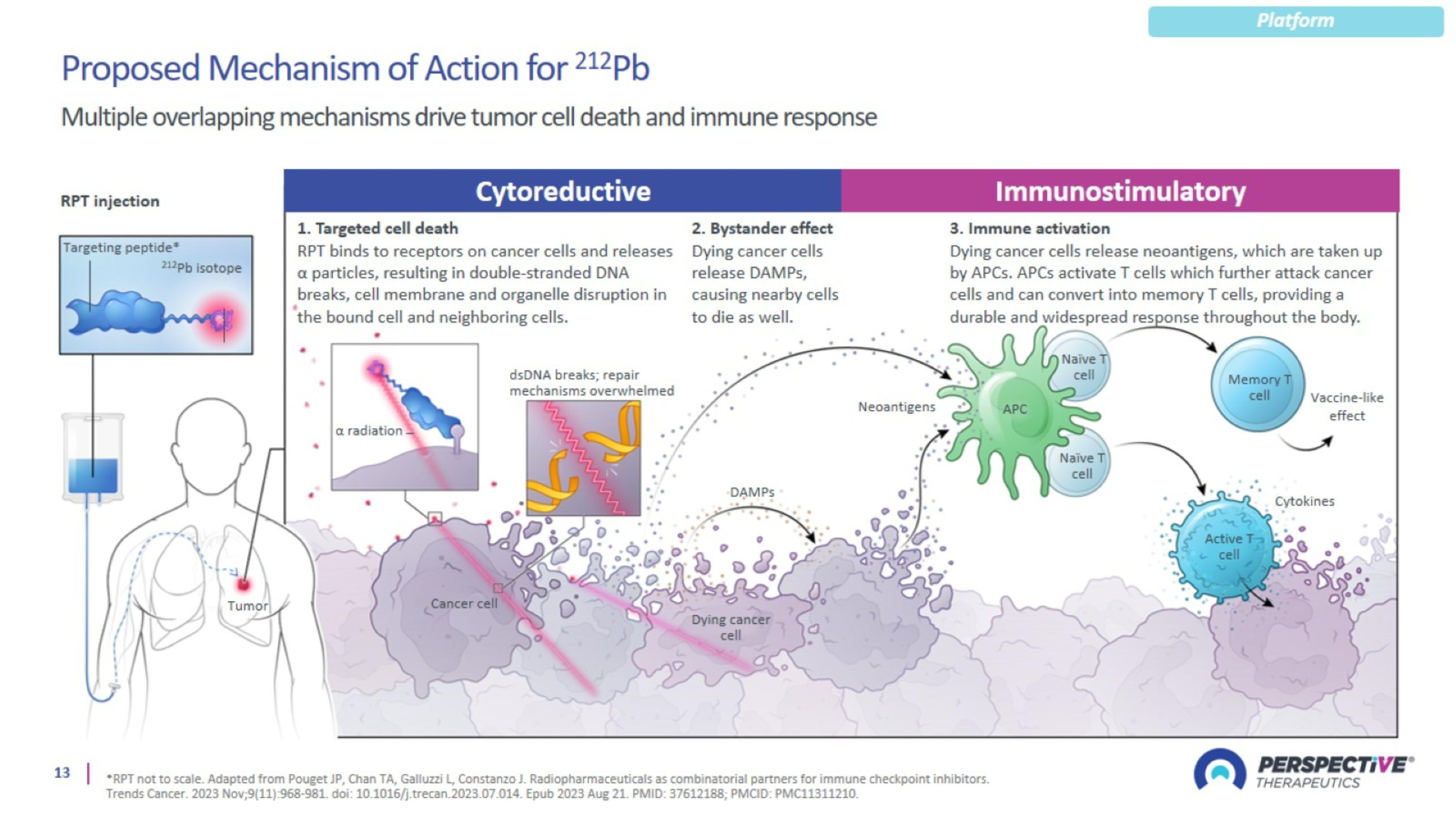 Slide 13