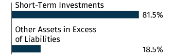 Graphical Representation - Allocation 1 Chart