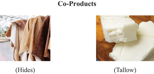 [MISSING IMAGE: ph_coproducts-4clr.jpg]