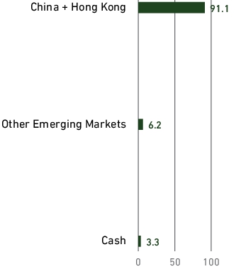 Graphical Representation - Allocation 2 Chart