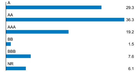 Graphical Representation - Allocation 1 Chart