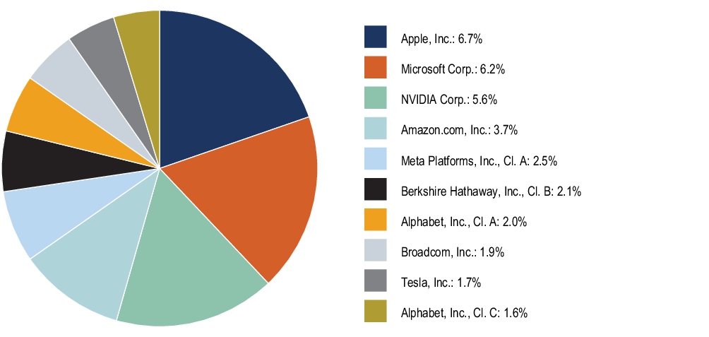 Graphical Representation - Top N Holdings Chart