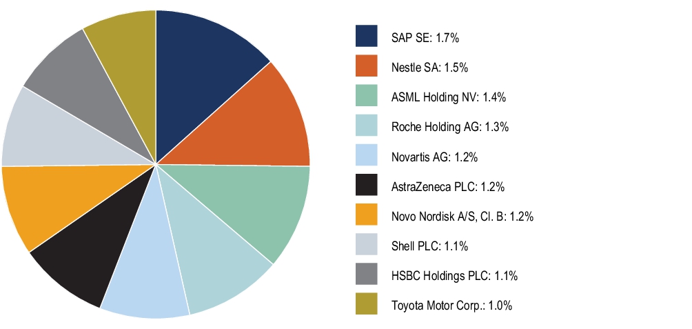 Graphical Representation - Top N Holdings Chart