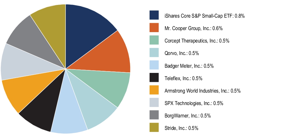 Graphical Representation - Top N Holdings Chart
