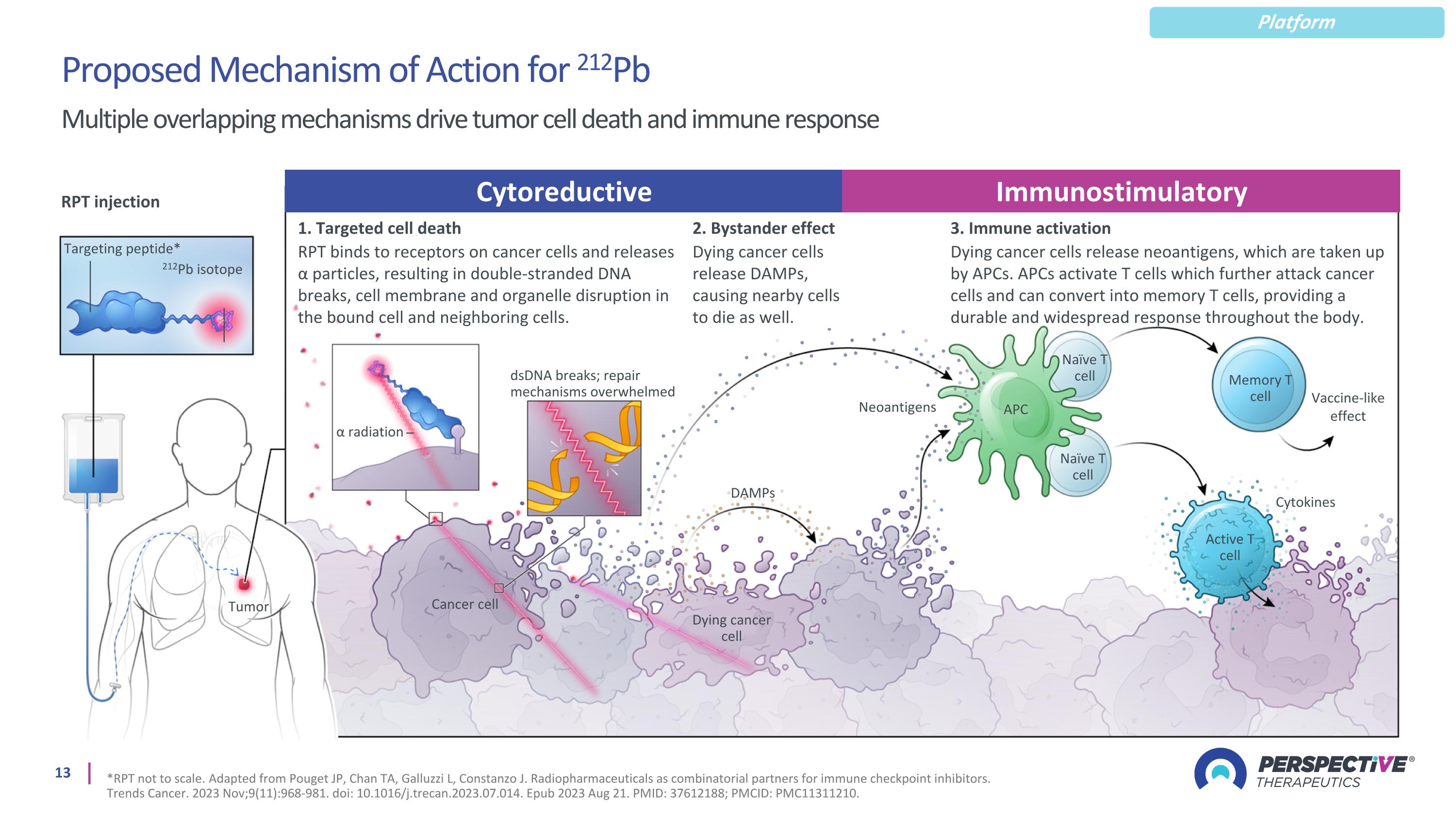 Slide 13