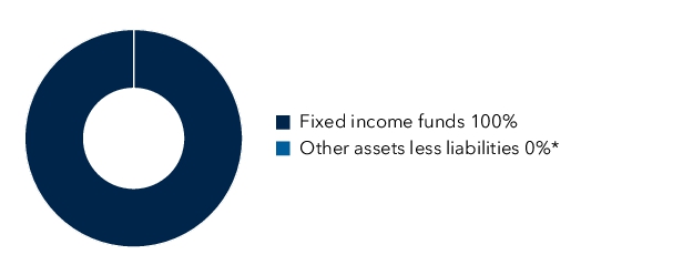Graphical Representation - Allocation 1 Chart
