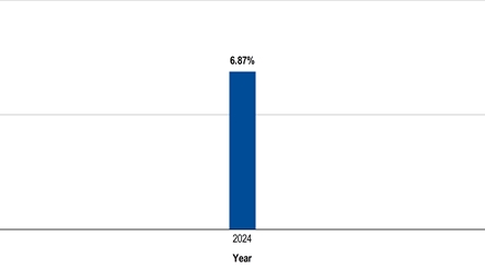 PerformanceBarChartData(2024:6.87)