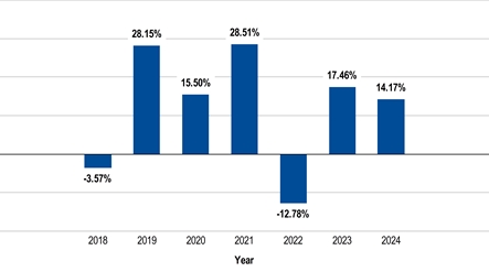 PerformanceBarChartData(2018:-3.57,2019:28.15,2020:15.5,2021:28.51,2022:-12.78,2023:17.46,2024:14.17)