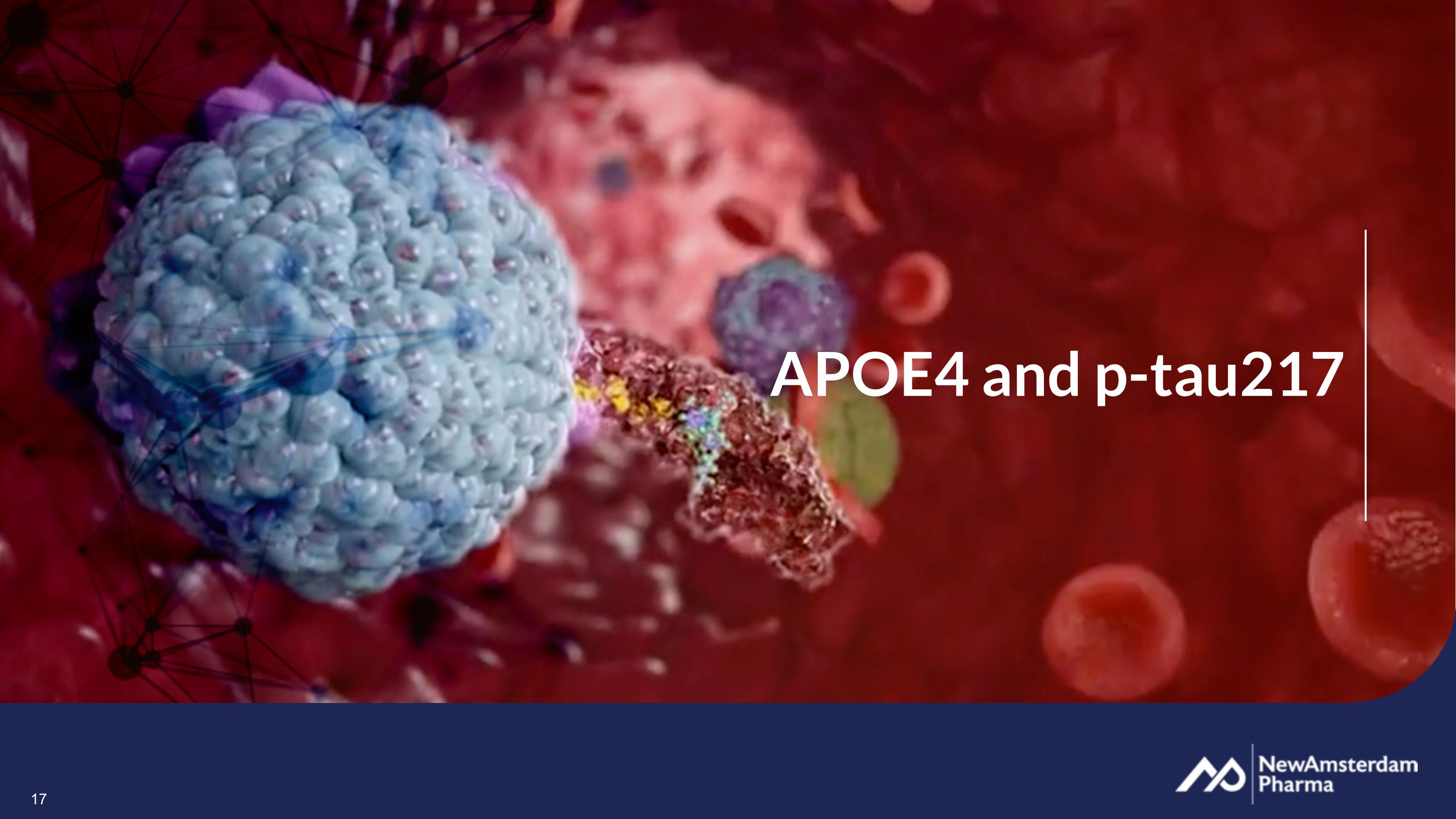 Slide 17