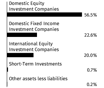 Graphical Representation - Allocation 1 Chart