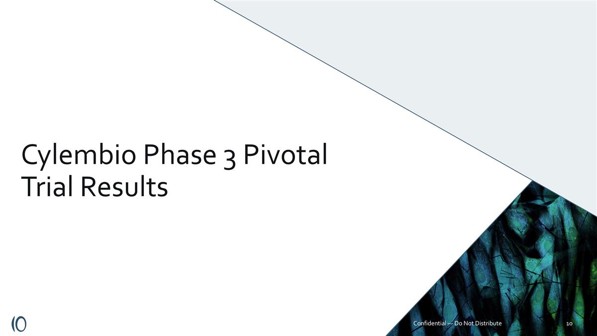 Slide 10