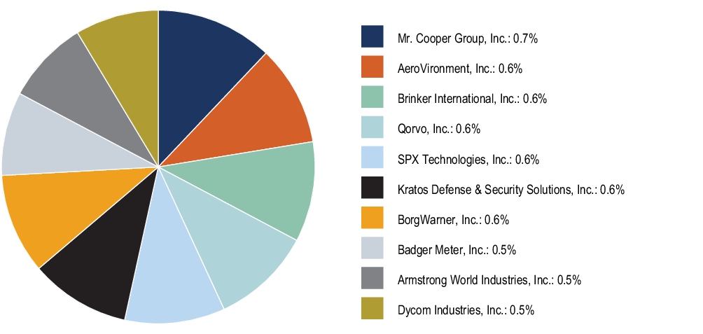 Graphical Representation - Top N Holdings Chart