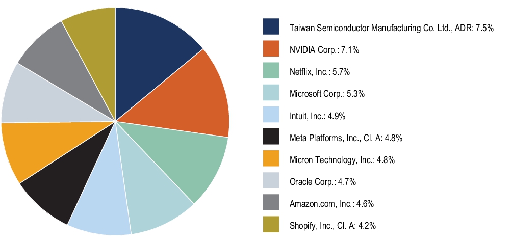 Graphical Representation - Top N Holdings Chart
