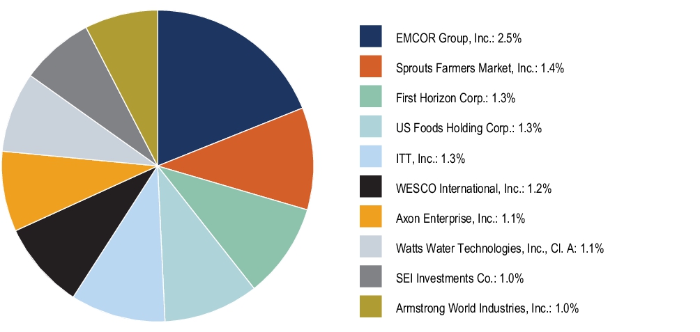 Graphical Representation - Top N Holdings Chart