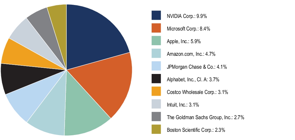 Graphical Representation - Top N Holdings Chart
