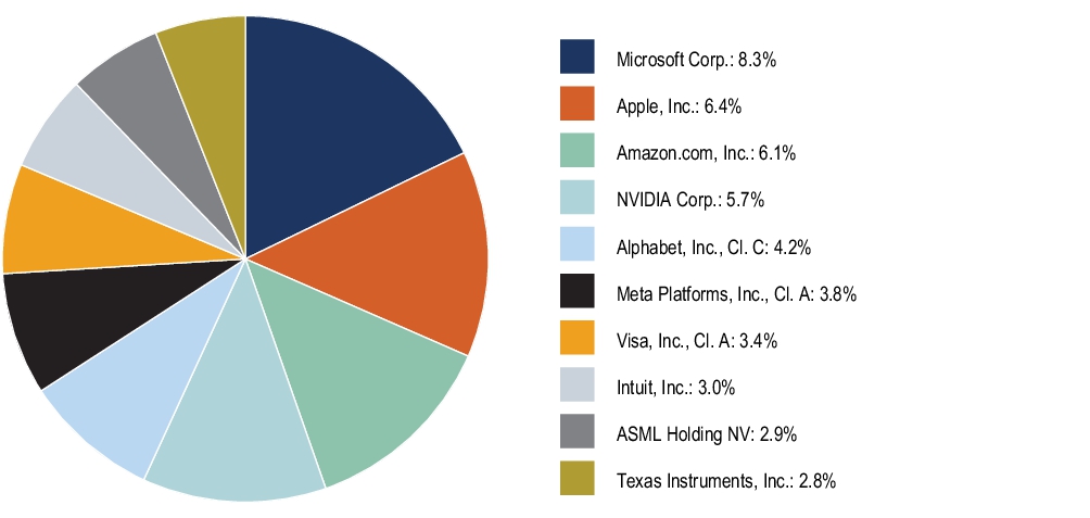 Graphical Representation - Top N Holdings Chart