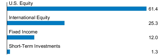 Graphical Representation - Allocation 1 Chart