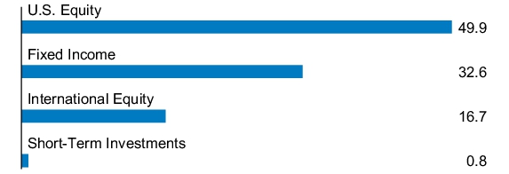 Graphical Representation - Allocation 1 Chart