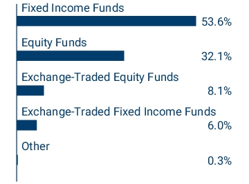 Graphical Representation - Allocation 1 Chart