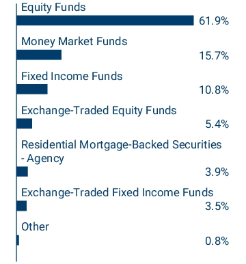 Graphical Representation - Allocation 1 Chart