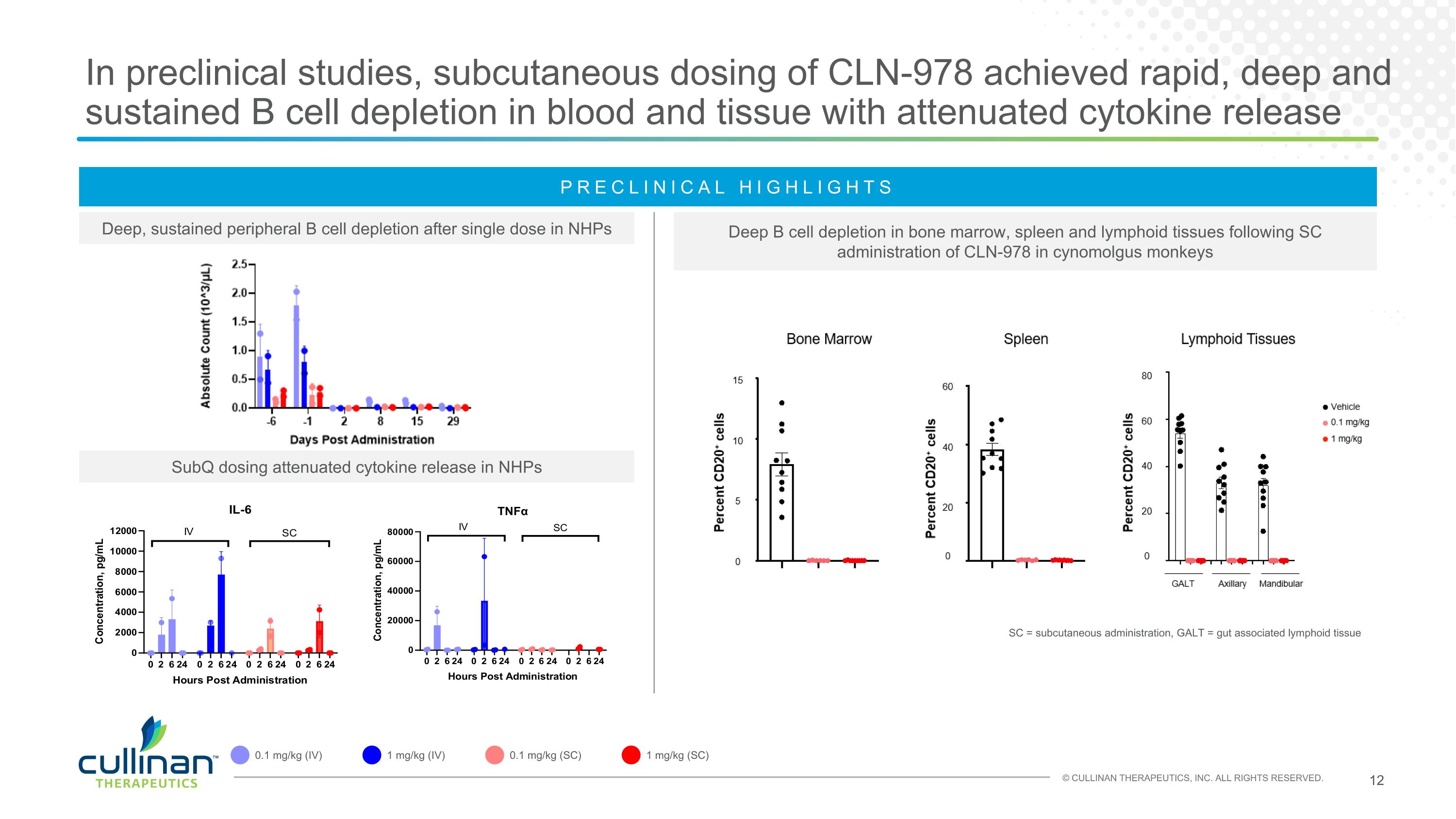 Slide 12