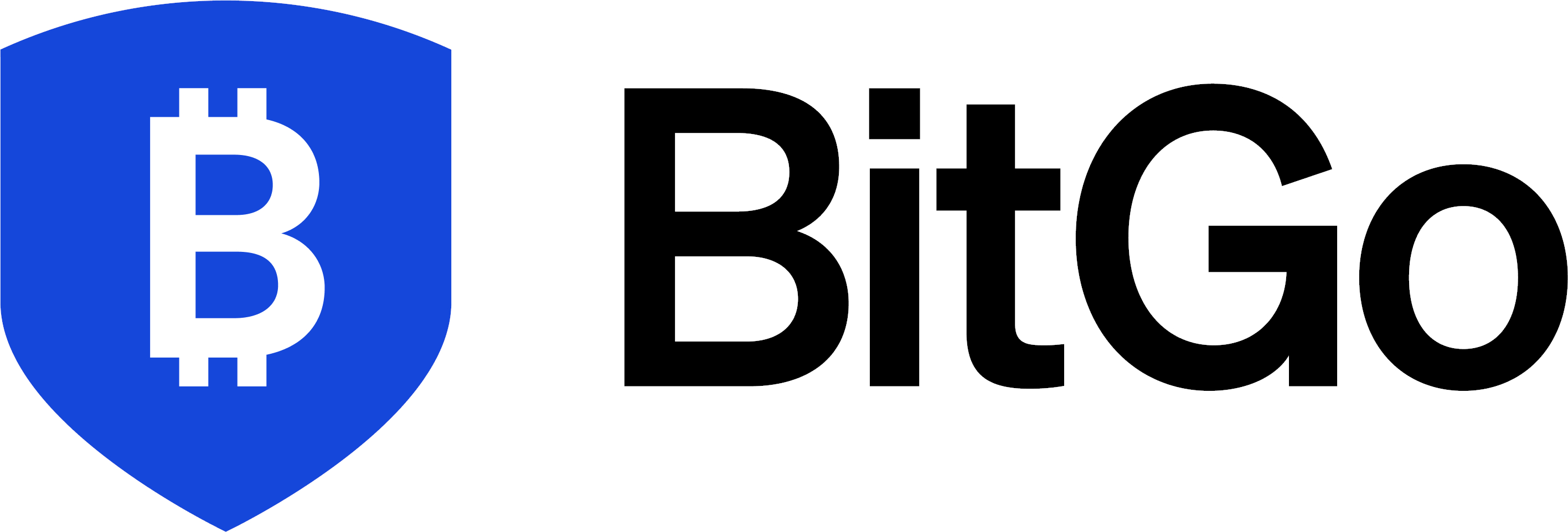 bitgologo.jpg