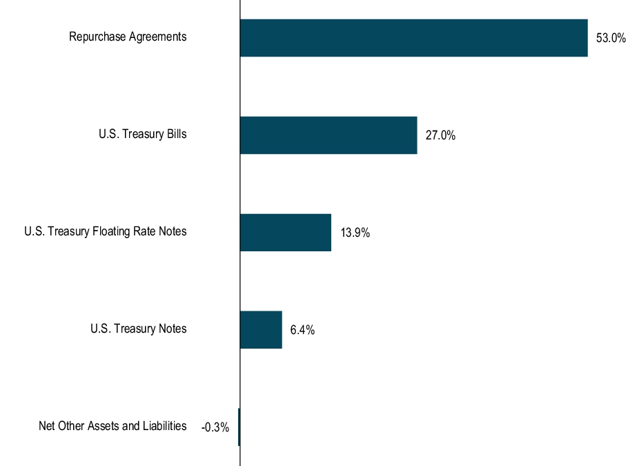 Graphical Representation - Top N Holdings Chart