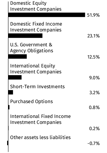 Graphical Representation - Allocation 1 Chart