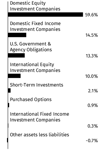 Graphical Representation - Allocation 1 Chart