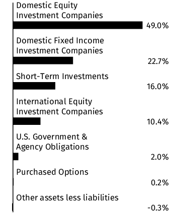 Graphical Representation - Allocation 1 Chart