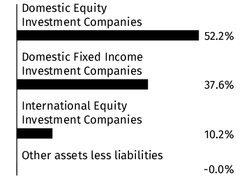 Graphical Representation - Allocation 1 Chart