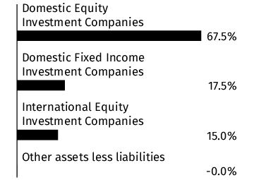 Graphical Representation - Allocation 1 Chart