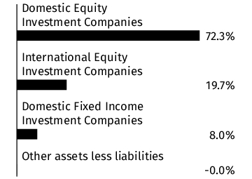 Graphical Representation - Allocation 1 Chart