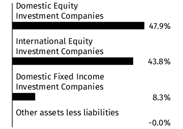Graphical Representation - Allocation 1 Chart