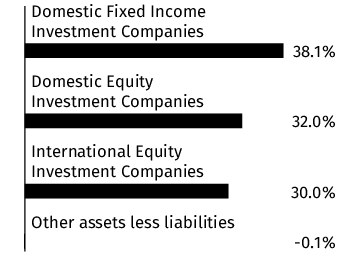 Graphical Representation - Allocation 1 Chart