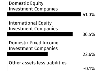 Graphical Representation - Allocation 1 Chart