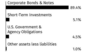 Graphical Representation - Allocation 1 Chart