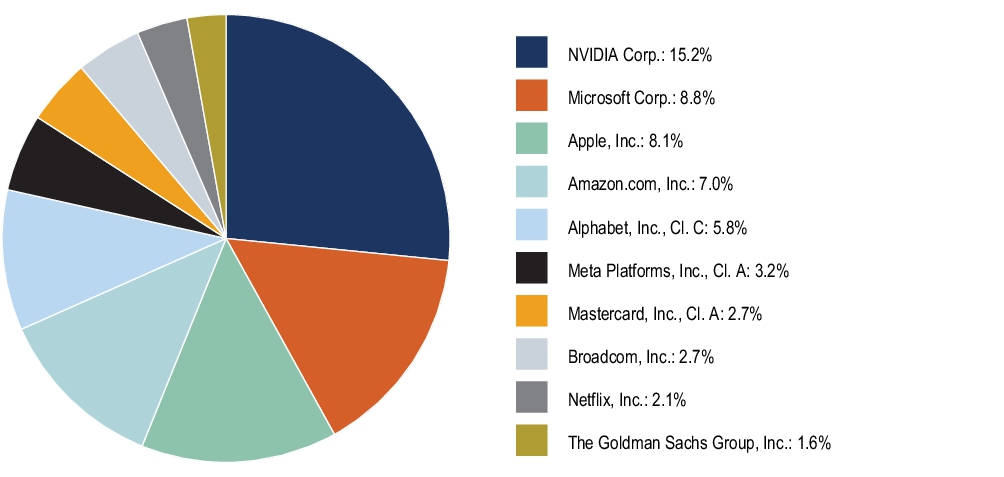Graphical Representation - Top N Holdings Chart