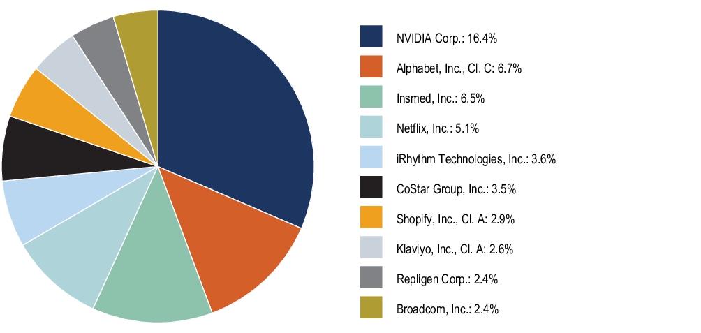 Graphical Representation - Top N Holdings Chart