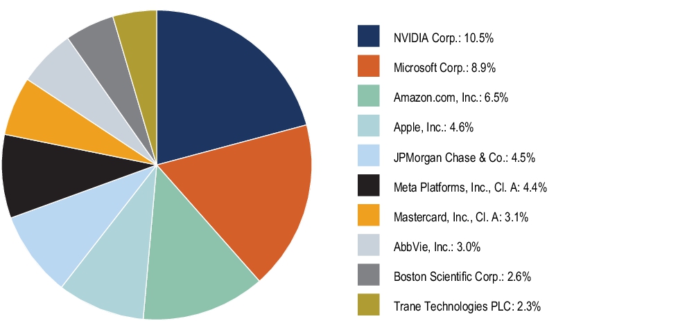 Graphical Representation - Top N Holdings Chart