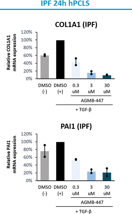 [MISSING IMAGE: bc_ipf24h-4clr.jpg]