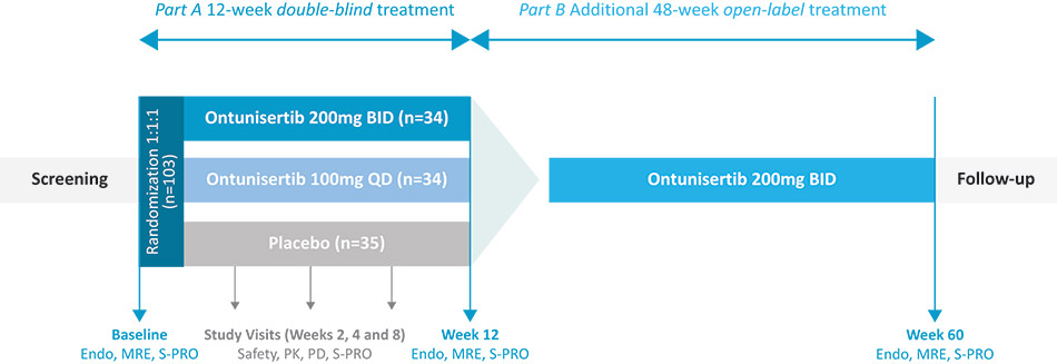 [MISSING IMAGE: fc_stenovatrial-4c.jpg]