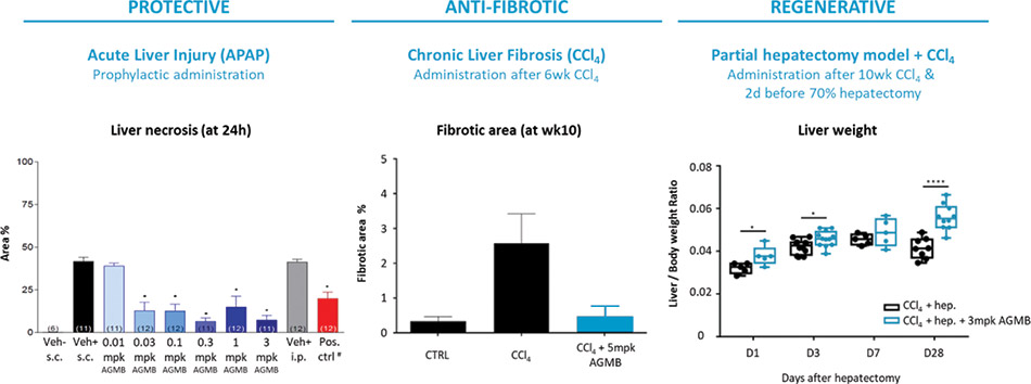 [MISSING IMAGE: lc_protective-4clr.jpg]